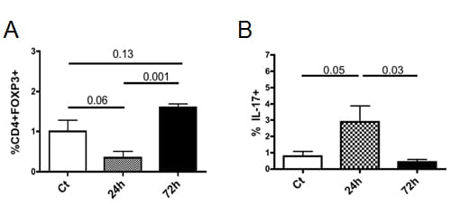 Intra-amniotic IL-1β transiently decreases regulatory T cell (Treg) frequency but increases the frequency of IL-17+ cells in lymphoid organs.